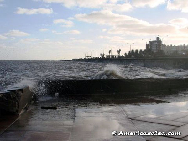 en-montevideo-(33)