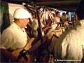 rumba_sabrosa_056_camaguey